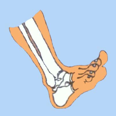Proper Foot Mechanics